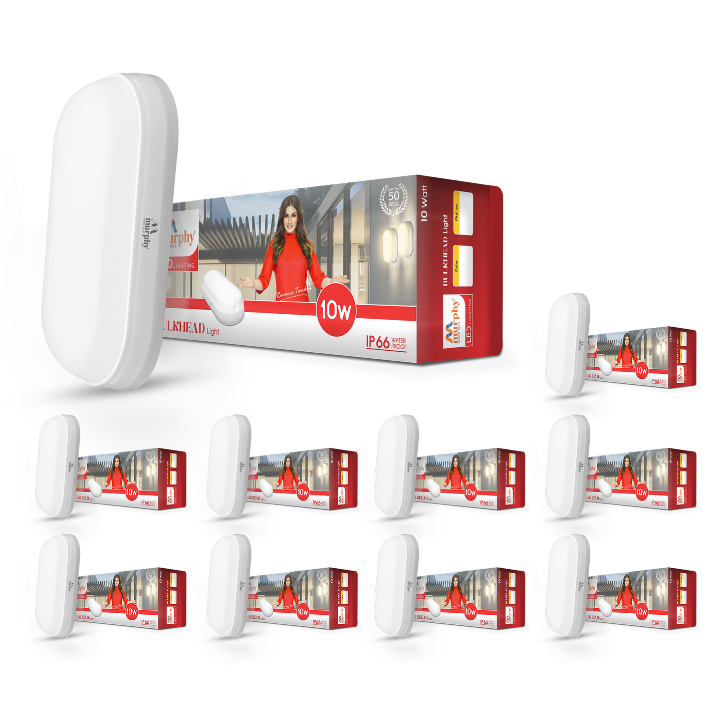 10W LED Bulkhead Wall Mount Light