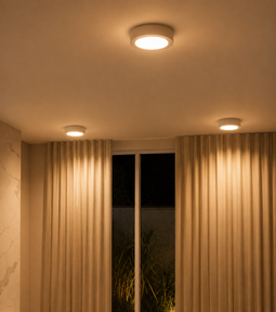 Surface Down Lights