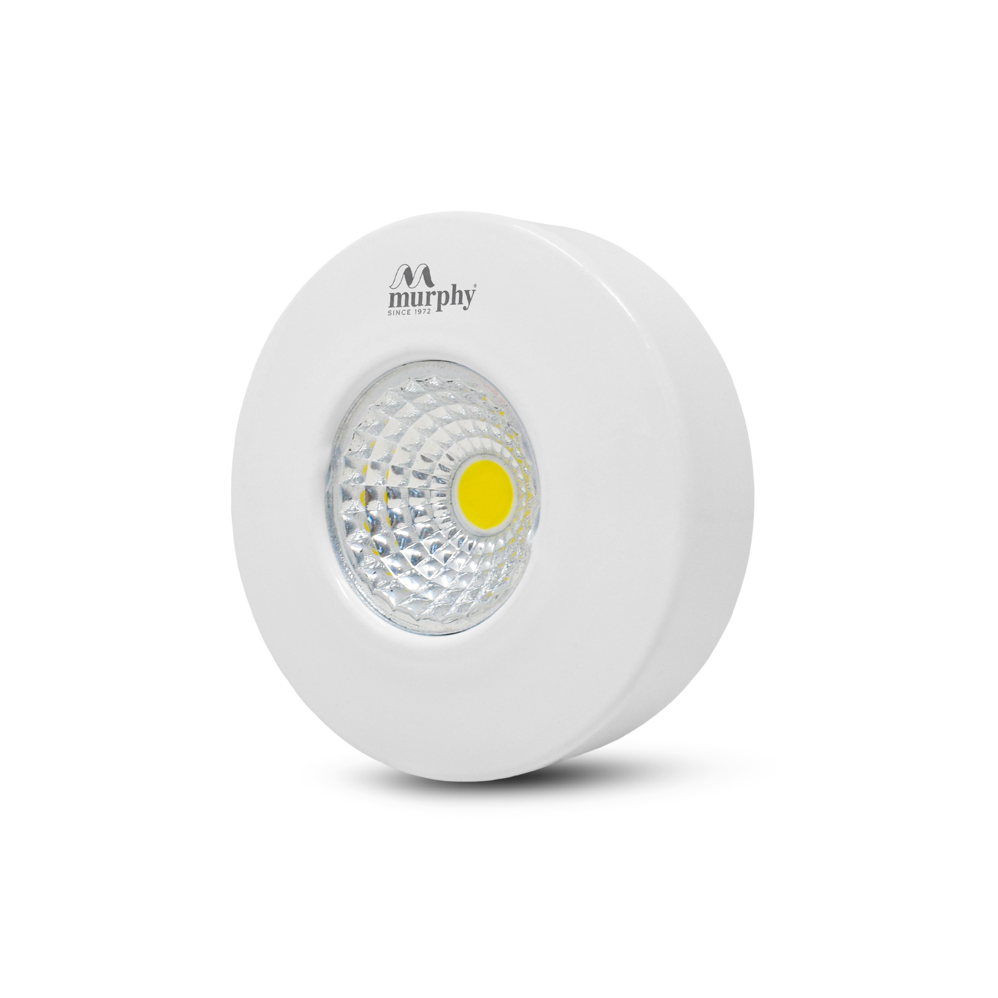 LED COB Down Light