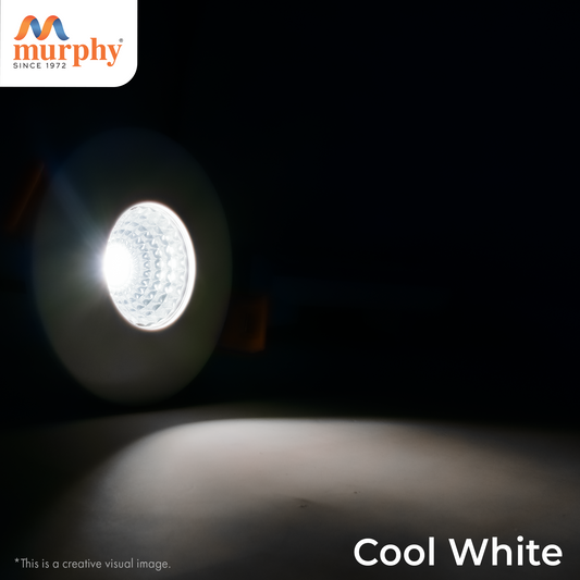 Murphy 3W COB Down Light