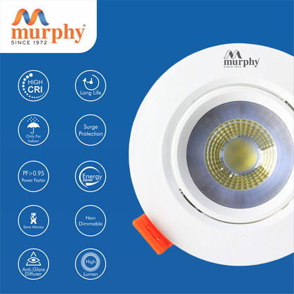 Murphy 3W IRIS LED Junction Box Down Light