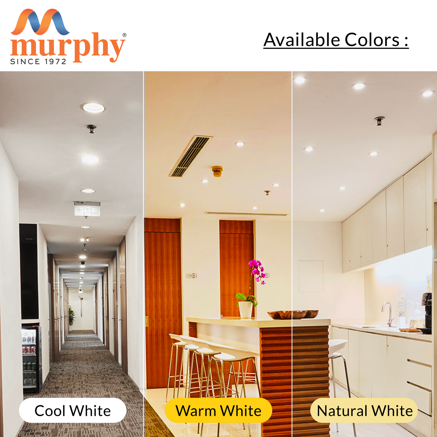 Murphy 24-Watt Divine Round LED Panel Ceiling Light