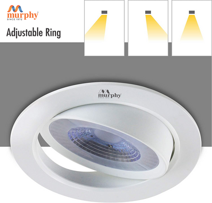 Murphy 3W IRIS LED Junction Box Down Light