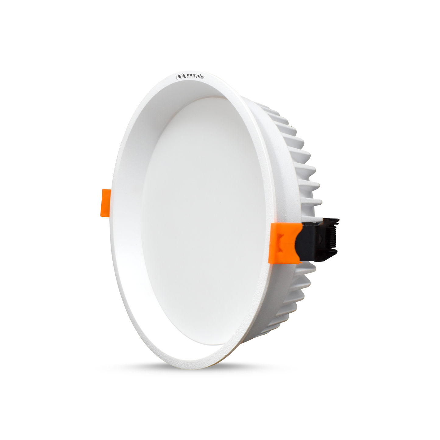 Murphy 24-Watt Divine Round LED Panel Ceiling Light